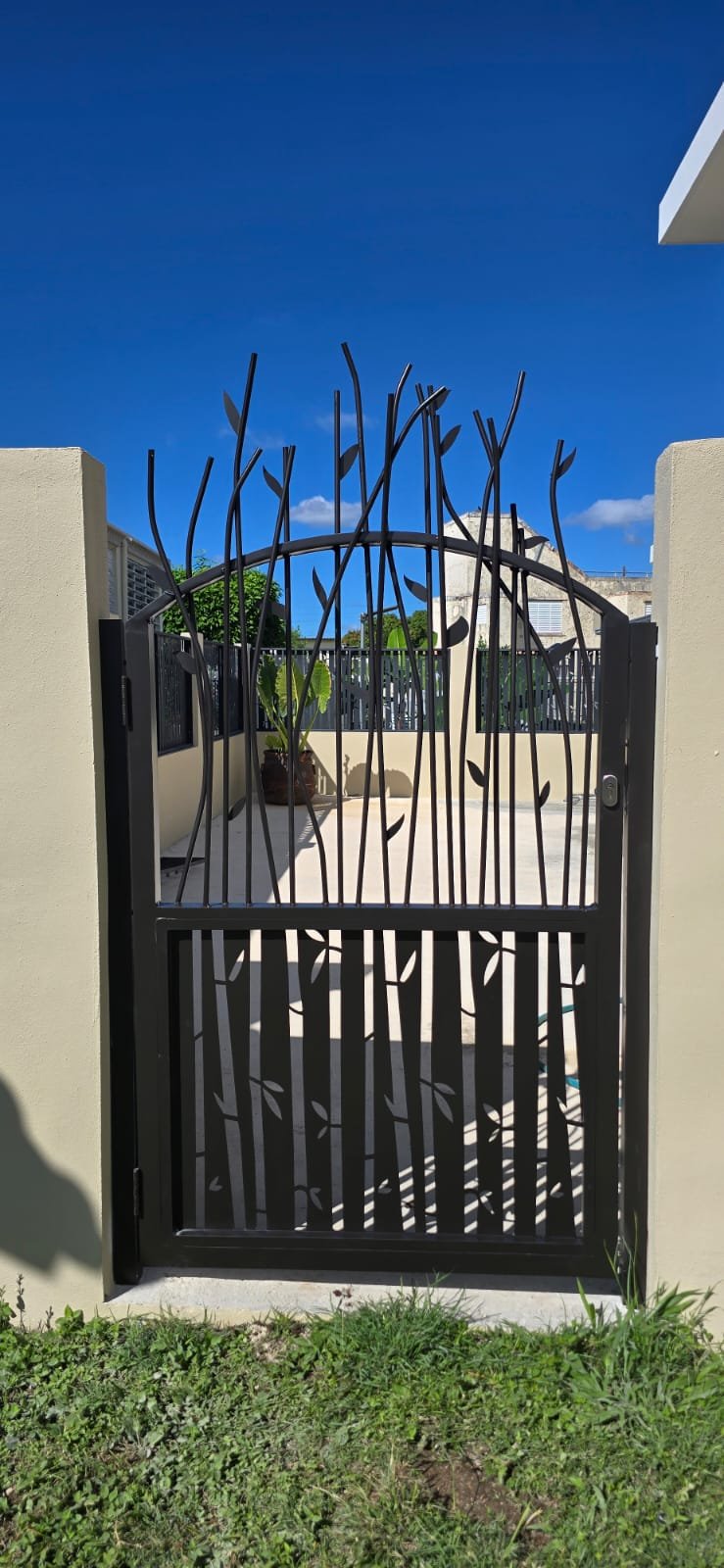 WhatsApp Image 2025-12-24 at 10.40.11 AM (1)